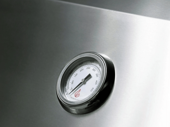 TrueFlame Grill - Built - In - Sunzout Outdoor Spaces LLC