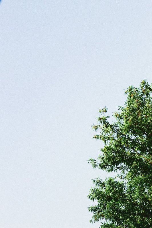 Create the Ultimate Outdoor Dining Space with Keystone and Sunzout Motorized Pergolas featuring Aluminum and Teak Elements - Sunzout Outdoor Spaces LLC