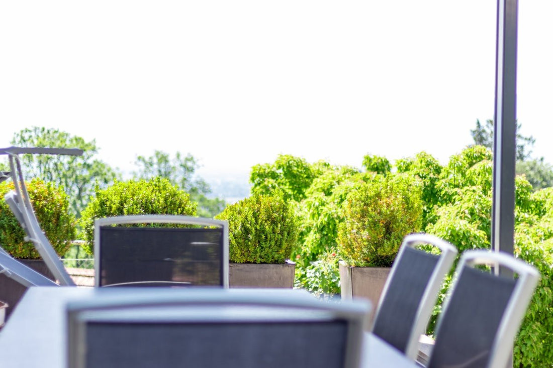 Creating a Cozy Backyard Retreat with Teak and Aluminum Furniture - Sunzout Outdoor Spaces LLC