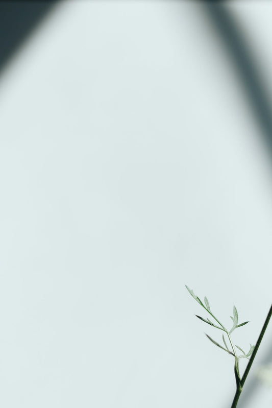 Maximizing Your Outdoor Experience with Weatherstrong's Modular Kitchen Set Featuring Sunzout Motorized Aluminum Pergolas and Sleek Teak Sofa Sets - Sunzout Outdoor Spaces LLC