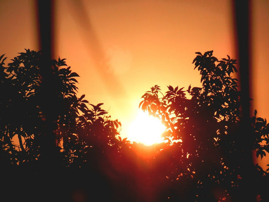 Sunzout Smoker Cabinets: Elevating Modular Outdoor Kitchens with Aluminum Pergolas and Stylish Sofa Sets - Sunzout Outdoor Spaces LLC