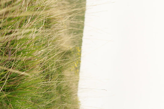 Unlock the Potential of Mont Alpi's Outdoor Kitchen 805 Deluxe Island with Sunzout's Motorized Pergolas and Teak Sofa Sets - Sunzout Outdoor Spaces LLC