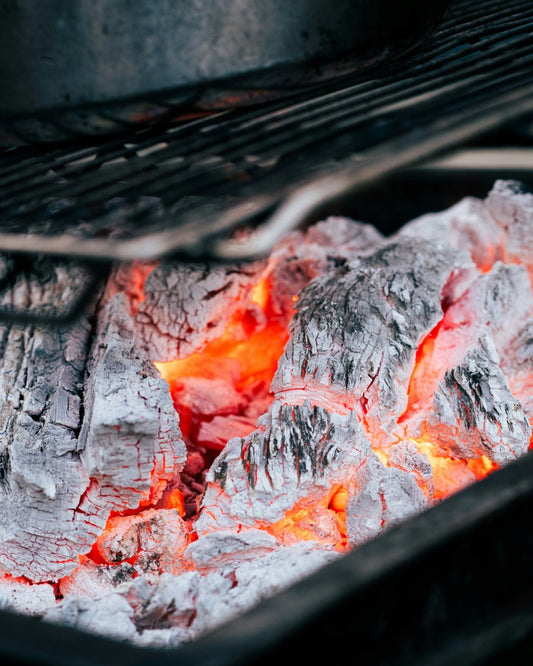 Why the Fire Magic Echelon Diamond E1060S 48-Inch Grill is the Ultimate Choice for Backyard Chefs - Sunzout Outdoor Spaces LLC